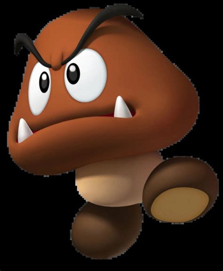 What does goomba mean